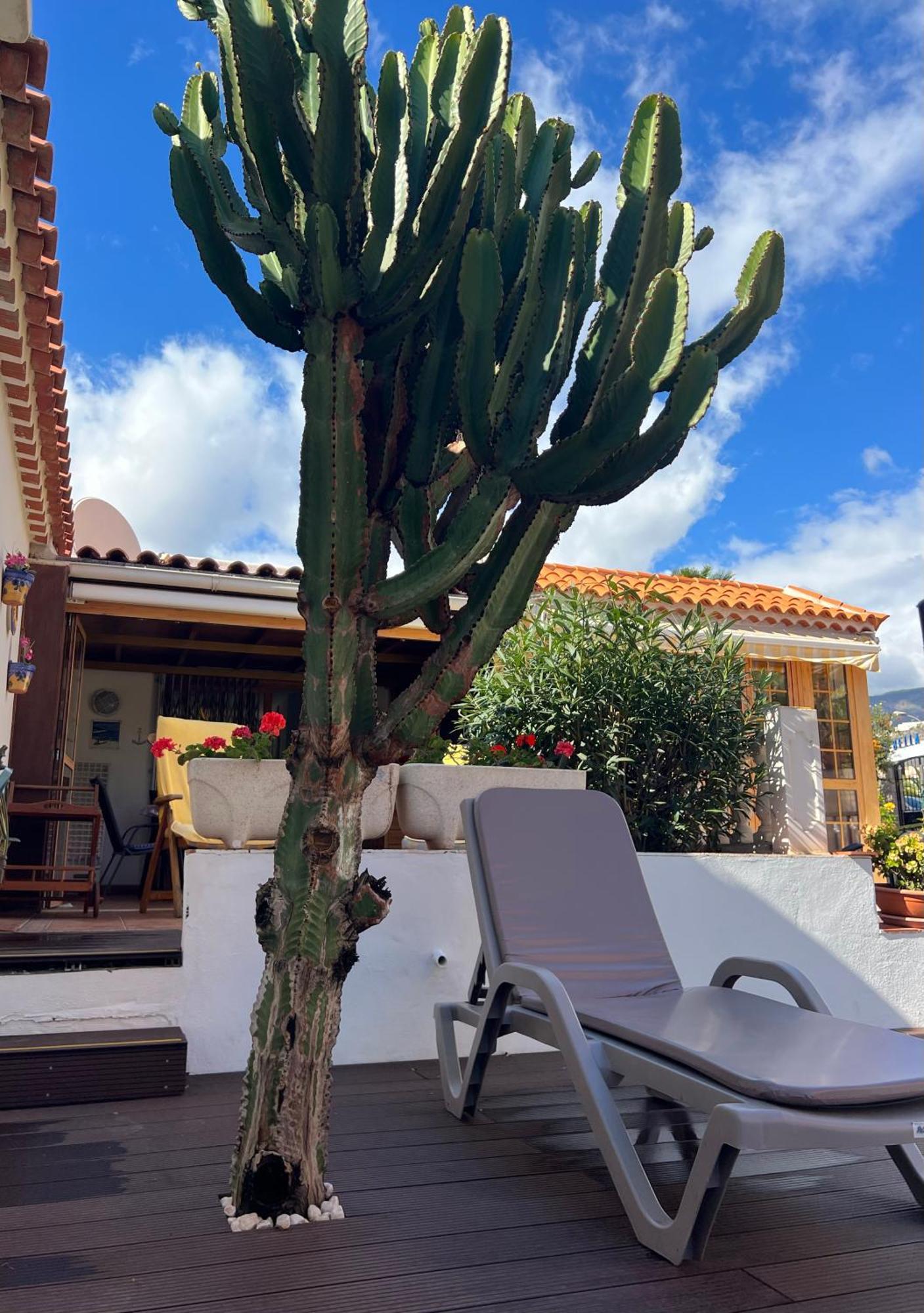 Cactus'S House, 150 M Beach, 1 Bdr, 4 Guests, Wifi, Netflix, Costa Adeje  Buitenkant foto